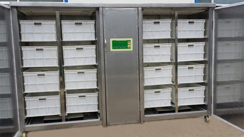 Automatic sprouts machine