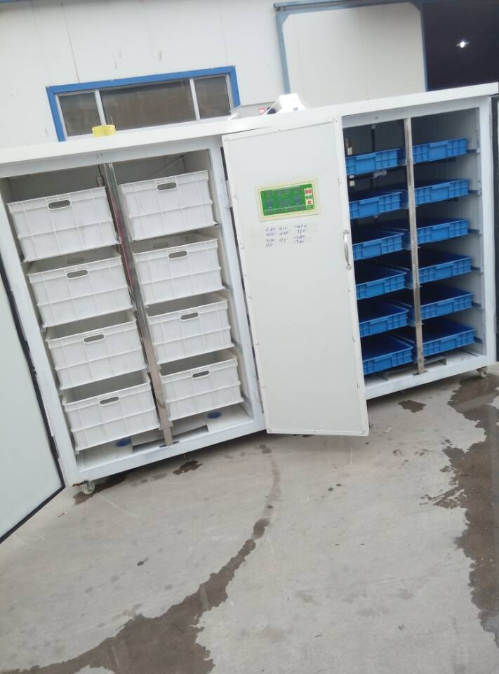 Huhhot special left bean sprouts machine right Mieji